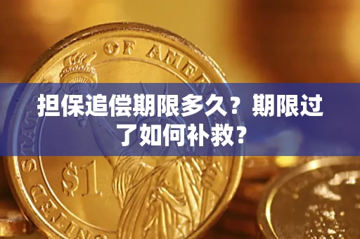 济南担保追偿期限多久？期限过了如何补救？