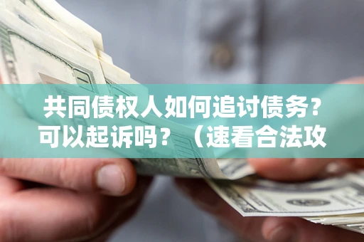 济南共同债权人如何追讨债务？可以起诉吗？（速看合法攻略）