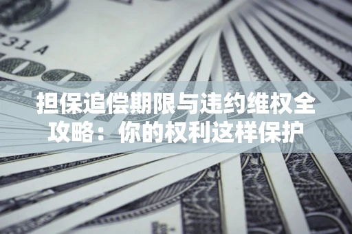 济南担保追偿期限与违约维权全攻略：你的权利这样保护