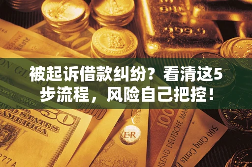 济南被起诉借款纠纷？看清这5步流程，风险自己把控！